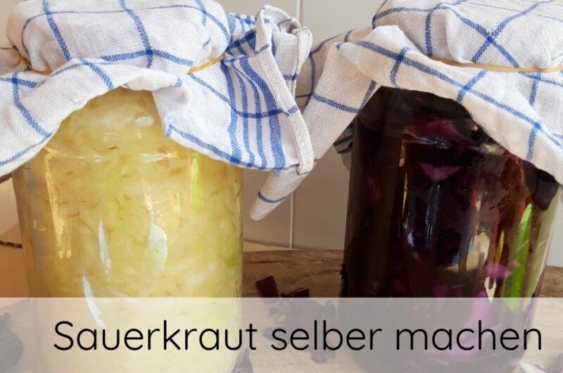 Sauerkraut selber machen