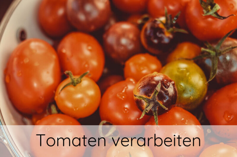 Rezeptideen mit frischen Tomaten